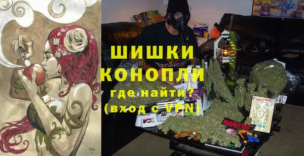 ПСИЛОЦИБИНОВЫЕ ГРИБЫ Снежногорск