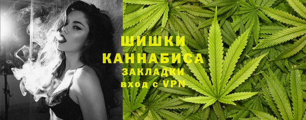 ПСИЛОЦИБИНОВЫЕ ГРИБЫ Снежногорск