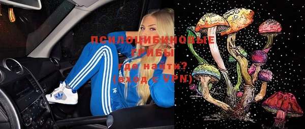 ПСИЛОЦИБИНОВЫЕ ГРИБЫ Снежногорск