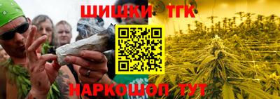 индика Заводоуковск