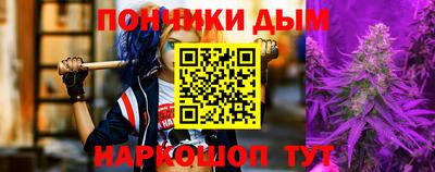 индика Заводоуковск