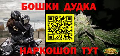индика Заводоуковск