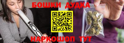 индика Заводоуковск
