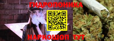 индика Заводоуковск