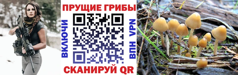 Псилоцибиновые грибы мухоморы  kraken ONION  Соль-Илецк 