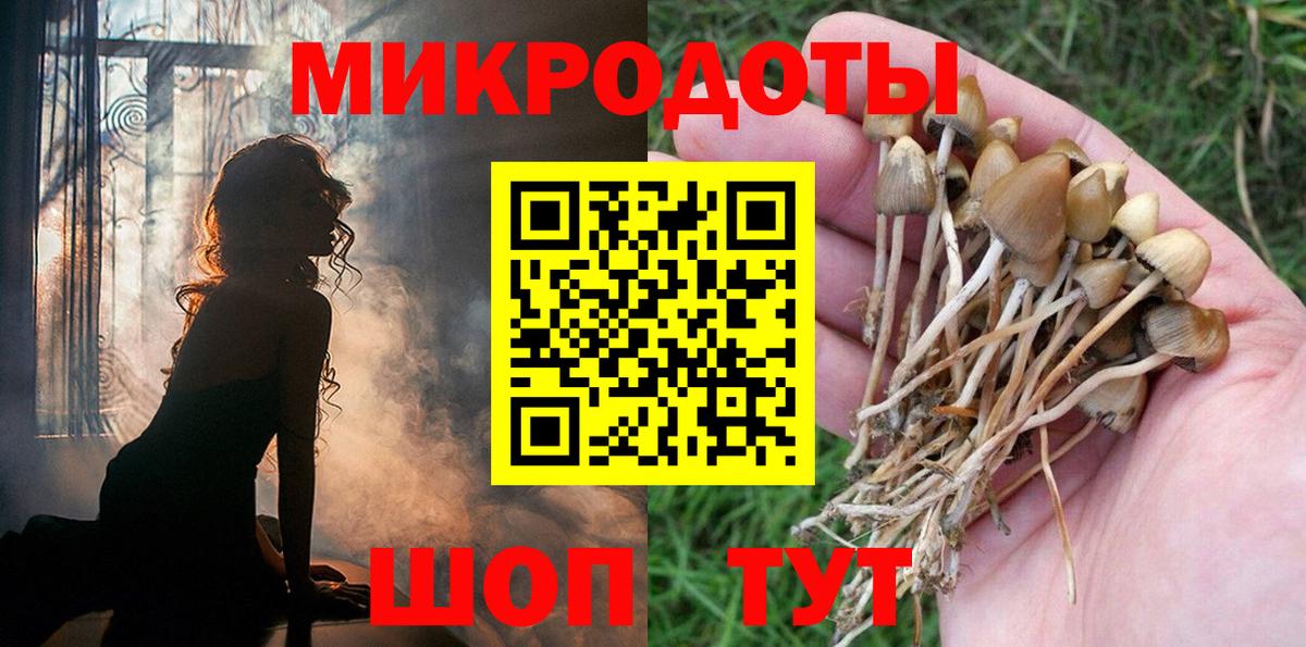 Псилоцибиновые грибы Magic Shrooms Соль-Илецк