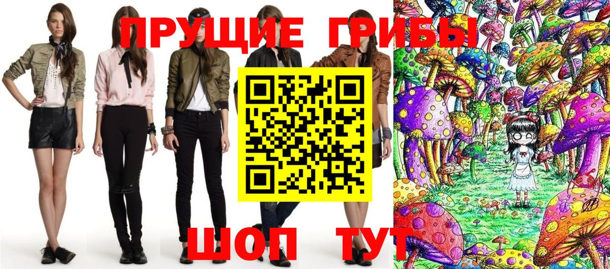 Соль-Илецк  Галлюциногенные грибы Cubensis  Вход с VPN 
